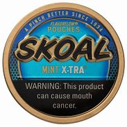SKOAL - SKOAL XTRA MINT POUCH